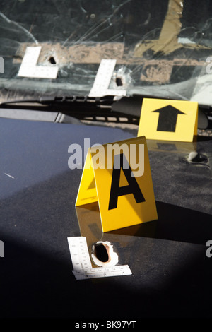 forensic crime evidence in mock up car shooting scene at open day Stock Photo