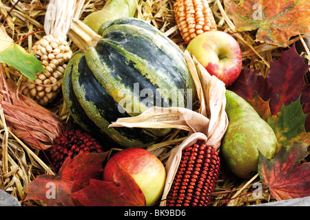 Colorful autumn decoration in a wooden box, pumpkins, apples, pears, ornamental corn and autumn leaves Stock Photo