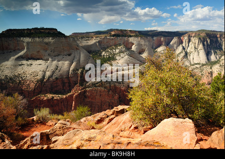 Scenic view on Zion Canyon from Observation Point in Zion National Park, Utah, USA Stock Photo