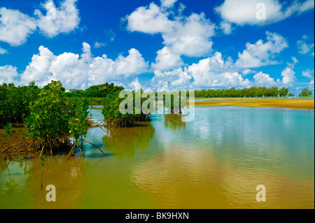 Mauritius, Rodrigues Island, Anse Mourouk, Port Sud Est, fishing with a ...