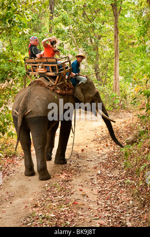 Visitors on elephant ride at National Thai Elephant Conservation Center; Lampang, Chiang Mai Province, Thailand. Stock Photo