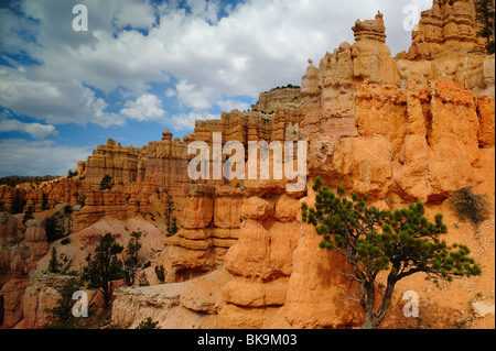 Scenic view 'hoodoos' in Bryce Canyon from Fairyland Loop trail, Utah, USA Stock Photo