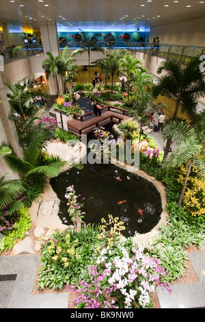 Orchid garden in Changi Airport, Singapore, Indonesia, Southeast Asia Stock Photo