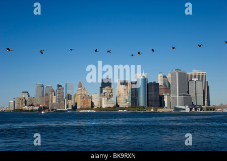 Birds over Skyline, Manhattan, New York City, New York, USA Stock Photo