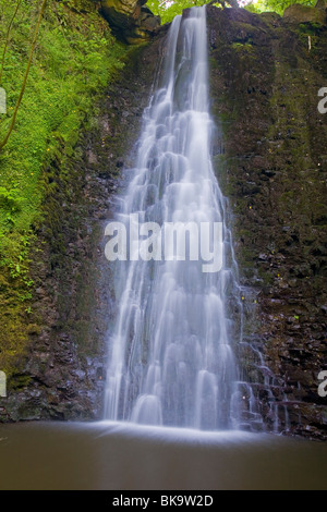 Falling Foss Waterfall in The Sneaton Forest at Littlebeck in The North York Moors National Park UK Stock Photo