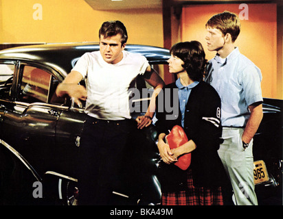 AMERICAN GRAFFITI (1973) PAUL LE MAT, CINDY WILLIAMS, RON HOWARD AMGR 004FOH Stock Photo