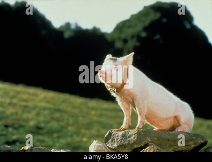 BABE -1995 Stock Photo