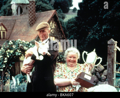 BABE : PIG IN THE CITY (1998) JAMES CROMWELL, MAGDA SZUBANSKI BAB2 013 Stock Photo