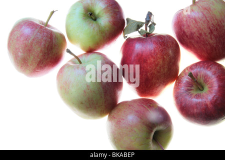 apples on a white background Stock Photo