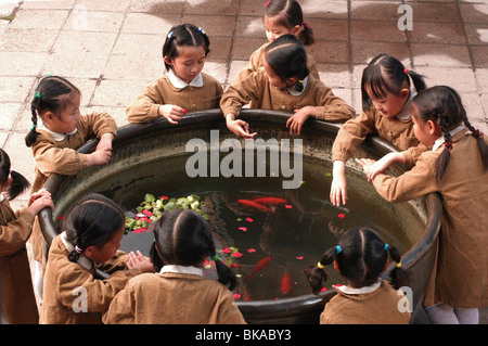 Kan shang qu hen mei   Little Red Flowers Year : 2006 - China Director : Zhang Yuan Stock Photo