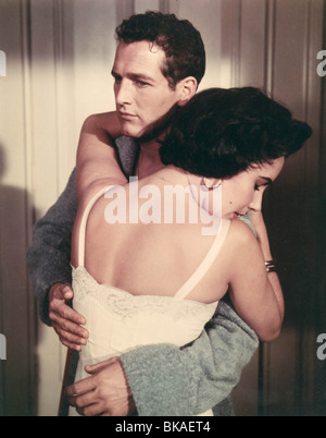 CAT ON A HOT TIN ROOF (1958) PAUL NEWMAN, ELIZABETH TAYLOR CHTR 001CP Stock Photo