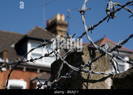 Barbed wire on a garden fence, Crouch End, London Stock Photo