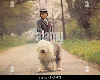 DIGBY, THE BIGGEST DOG IN THE WORLD (1973) NORMAN ROSSINGTON DBBD 003FOH Stock Photo