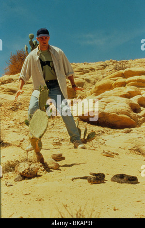 FOOLS RUSH IN (1997) MATTHEW PERRY FOOR 036 MOVIESTORE COLLECTION LTD Stock Photo