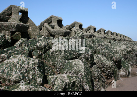 Barnacle Encrusted Sea Defence Groyne At New Brighton, Wallasey, The Wirral, UK Stock Photo