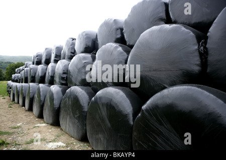 Black plastic wrap cover for wheat cereal bales outdoor Stock Photo