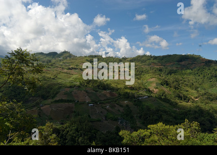 Small scale crop farms on hill side, Sabah, Borneo, East Malaysia. Stock Photo