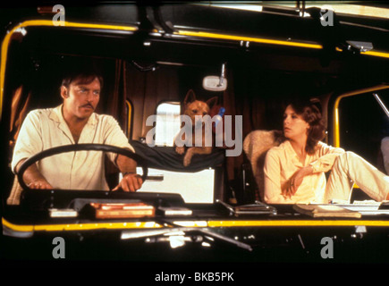 ROAD GAMES(1981) STACEY KEACH,JAMIE LEE CURTIS RGMS 004 Stock Photo