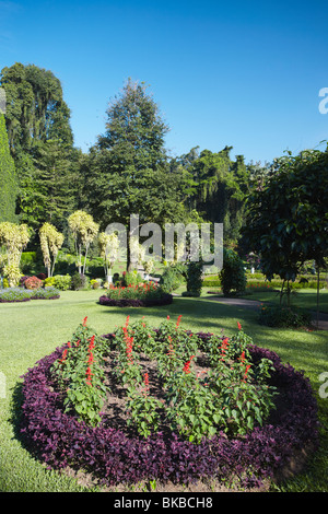 Flower garden in Peradeniya Botanic Gardens, Kandy, Sri Lanka Stock Photo