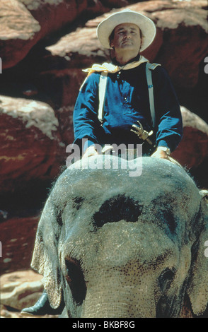 LARGER THAN LIFE (1996) BILL MURRAY LTL 016 Stock Photo