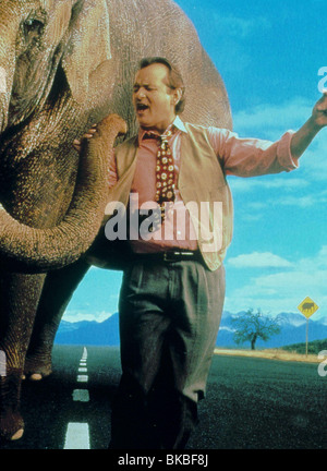 LARGER THAN LIFE (1996) BILL MURRAY LTL 063 Stock Photo