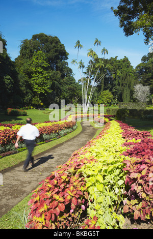 Flower garden in Peradeniya Botanic Gardens, Kandy, Sri Lanka Stock Photo