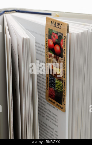 Open book with magnetic bookmark attached Stock Photo