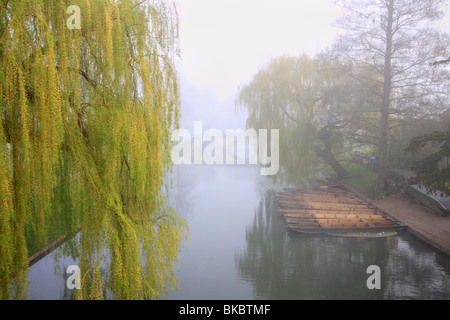 Misty morning on the River Cam, Cambridge,  with view towards Trinity Bridge Stock Photo