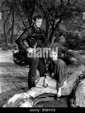 THE WILD ONE MARLON BRANDO, MARY MURPHY WDON 025P Stock Photo