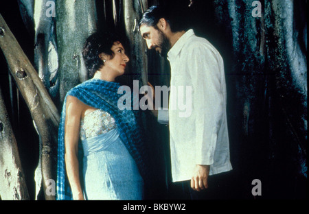 THE PEREZ FAMILY (1995) ANJELICA HUSTON, ALFRED MOLINA PERZ 038 Stock Photo