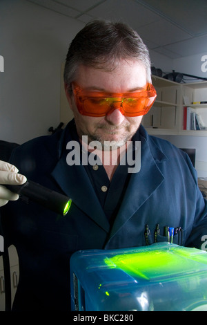 Fingerprint analyst using a colored light source to illuminate ...