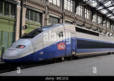 railways station, TGV train in gare de Lyon, Paris Stock Photo