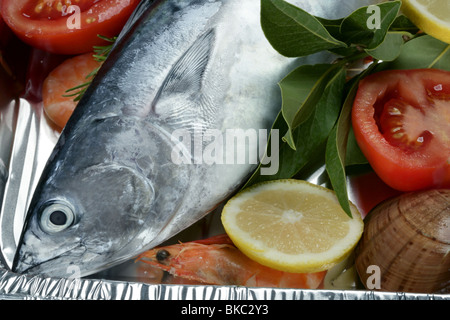 Euthynnus alletteratus, called false albacore from Mediterranean sea Stock Photo