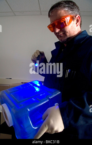 Fingerprint analyst using a colored light source to illuminate ...