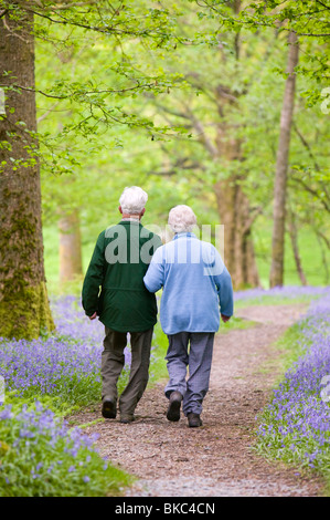 An elderly couple walking through a bluebell wood on the shores of Coniston Water UK Stock Photo
