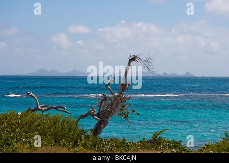 A view of St Barthelemy and Ile Fourchue from Ilet Pinel (Pinel Island) Orient Bay, St Martin Stock Photo