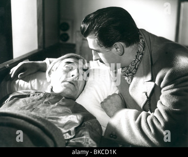 ADAM AND EVELYNE (1949) STEWART GRANGER ADEV 006P Stock Photo