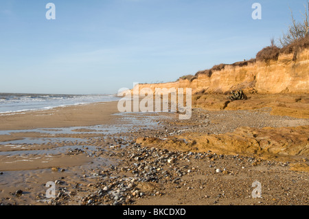 Beach shot at Covehithe in Suffolk East Anglia showing Coastal Erosion of Cliffs with Trees on Clifftop Stock Photo