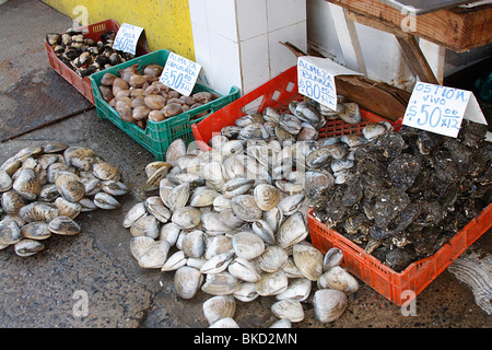 Freshly caught shellfish on sale at the famous daily fish market ,Ensenada,Mexico. Stock Photo