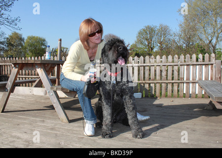 Bouvier des Flandres dog with middle aged woman sitting at table by the River Thames at East Molesey Cricket Club Stock Photo