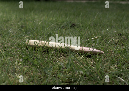 .5 calibre caliber machine gun bullet lies in the grass Stock Photo