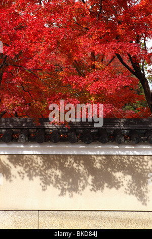 Autumn tint and wall in Kyoto