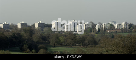 The Alton Estate in Roehampton, west London, one of the largest council estates in the UK with Richmond Park and its deer in the Stock Photo