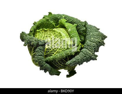 Savoy Cabbage on white Stock Photo