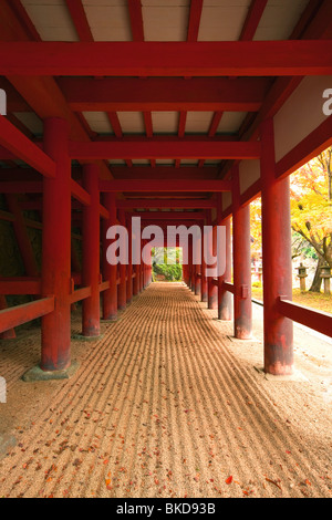 Tanzan-Jinja Shrine Nara Stock Photo