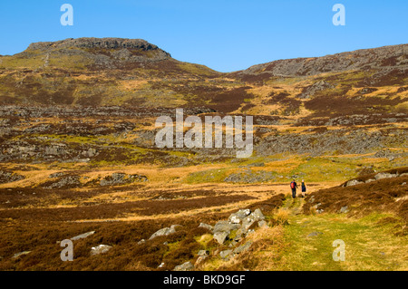 Foel Renolau in the north of the Rhinog Mountains, Snowdonia, North Wales, UK Stock Photo