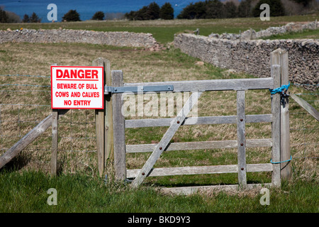 Danger Beware of bull cows and calves no entry sign on gate Caldey Island Wales UK Stock Photo