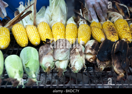 beautiful ears of corn grilling over charcoal fire on Ninth Avenue at New York's 9th Ninth Avenue International Food festival Stock Photo