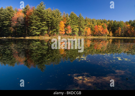 Ruggles Pond, Wendell State Forest, Wendell, Massachusetts Stock Photo