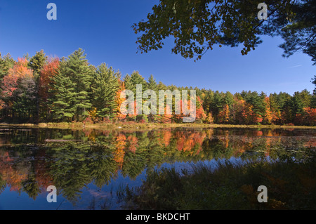 Ruggles Pond, Wendell State Forest, Wendell, Massachusetts Stock Photo